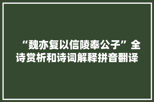 “魏亦复以信陵奉公子”全诗赏析和诗词解释拼音翻译