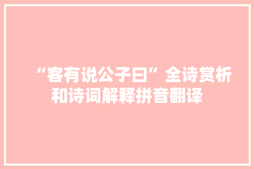 “客有说公子曰”全诗赏析和诗词解释拼音翻译