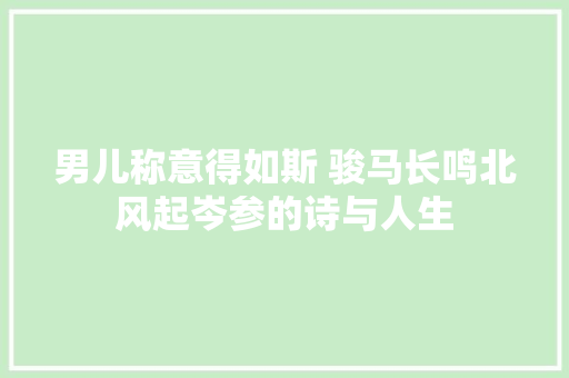 男儿称意得如斯 骏马长鸣北风起岑参的诗与人生