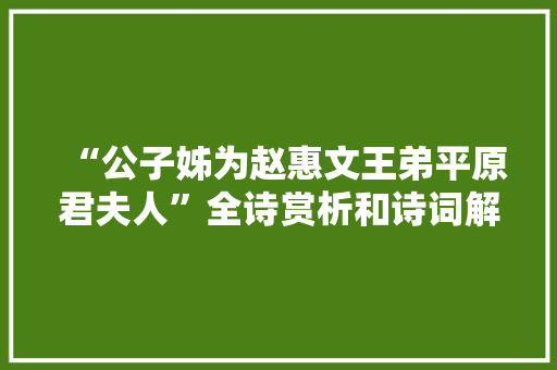 “公子姊为赵惠文王弟平原君夫人”全诗赏析和诗词解释拼音翻译