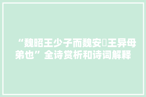 “魏昭王少子而魏安釐王异母弟也”全诗赏析和诗词解释拼音翻译