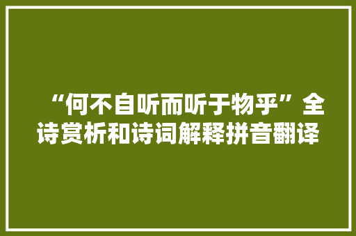 “何不自听而听于物乎”全诗赏析和诗词解释拼音翻译