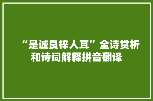 “是诚良梓人耳”全诗赏析和诗词解释拼音翻译