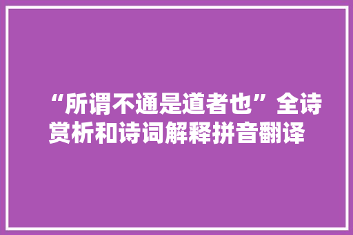 “所谓不通是道者也”全诗赏析和诗词解释拼音翻译