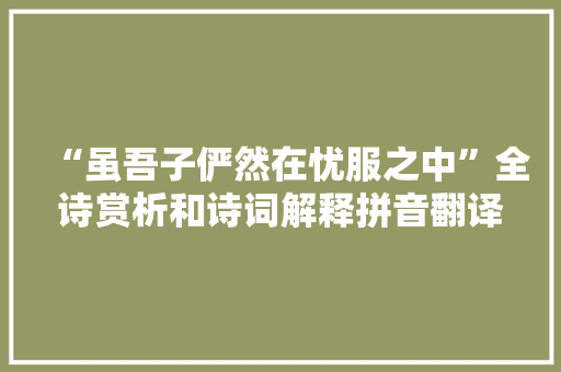 “虽吾子俨然在忧服之中”全诗赏析和诗词解释拼音翻译
