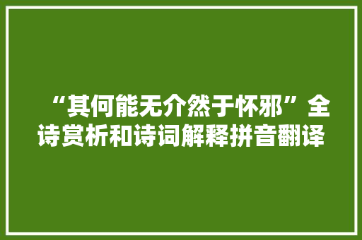 “其何能无介然于怀邪”全诗赏析和诗词解释拼音翻译