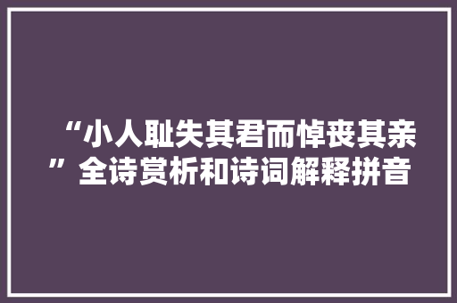 “小人耻失其君而悼丧其亲”全诗赏析和诗词解释拼音翻译