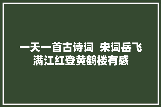 一天一首古诗词  宋词岳飞满江红登黄鹤楼有感