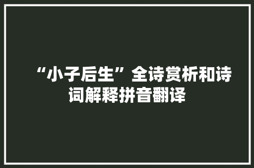 “小子后生”全诗赏析和诗词解释拼音翻译