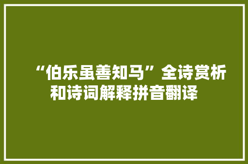 “伯乐虽善知马”全诗赏析和诗词解释拼音翻译