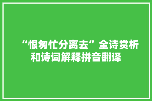 “恨匆忙分离去”全诗赏析和诗词解释拼音翻译