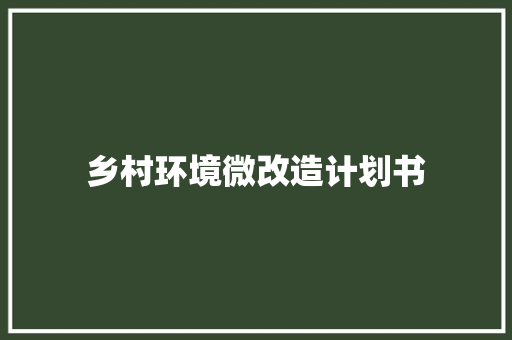 乡村环境微改造计划书