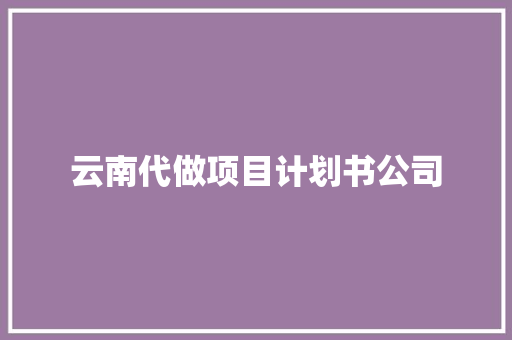 云南代做项目计划书公司