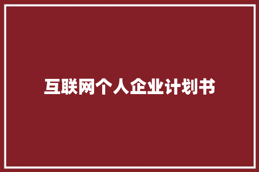 互联网个人企业计划书