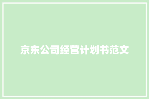 京东公司经营计划书范文