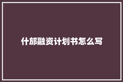 什邡融资计划书怎么写