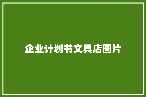 企业计划书文具店图片