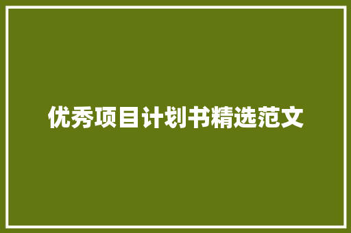 优秀项目计划书精选范文