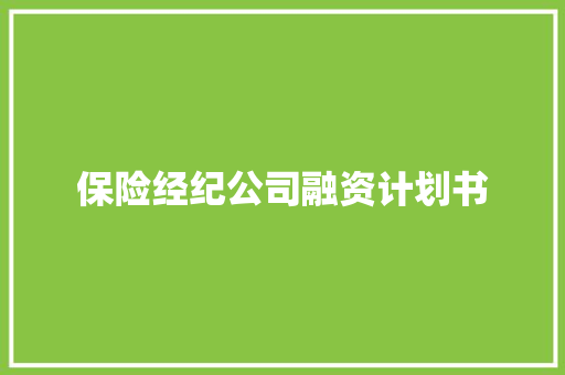 保险经纪公司融资计划书