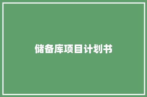 储备库项目计划书