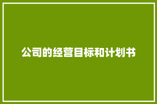 公司的经营目标和计划书