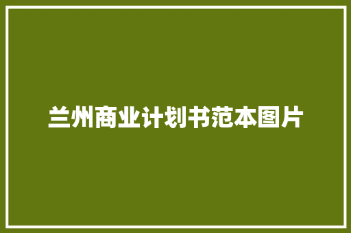 兰州商业计划书范本图片