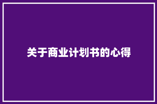 关于商业计划书的心得