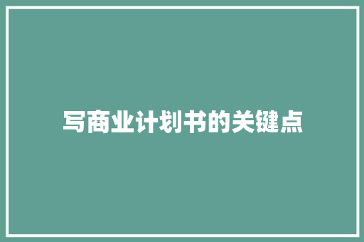 写商业计划书的关键点