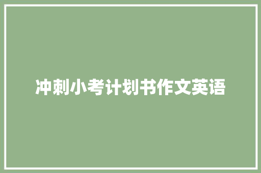冲刺小考计划书作文英语