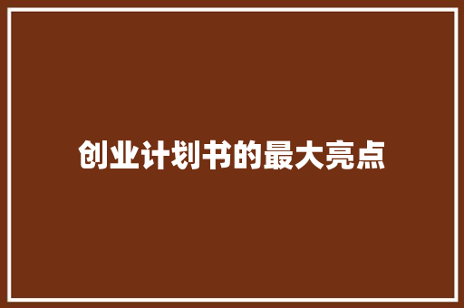 创业计划书的最大亮点