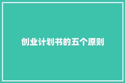创业计划书的五个原则