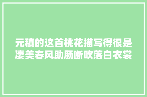 元稹的这首桃花描写得很是凄美春风助肠断吹落白衣裳