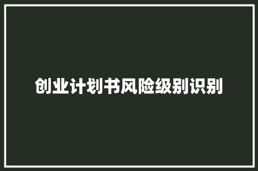 创业计划书风险级别识别