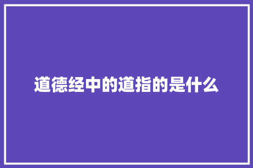 道德经中的道指的是什么