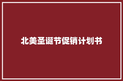 北美圣诞节促销计划书