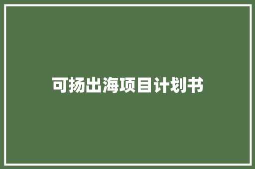 可扬出海项目计划书