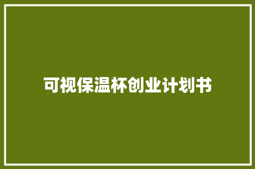 可视保温杯创业计划书
