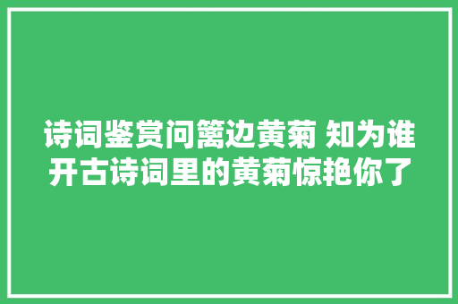 诗词鉴赏问篱边黄菊 知为谁开古诗词里的黄菊惊艳你了吗