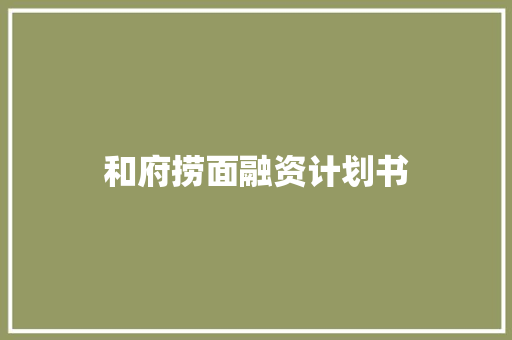 和府捞面融资计划书