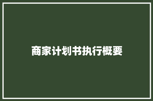 商家计划书执行概要