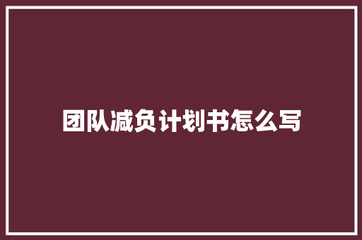团队减负计划书怎么写