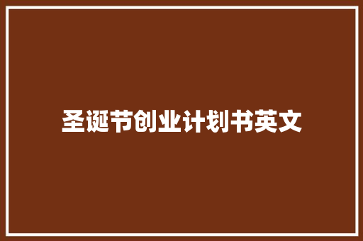 圣诞节创业计划书英文