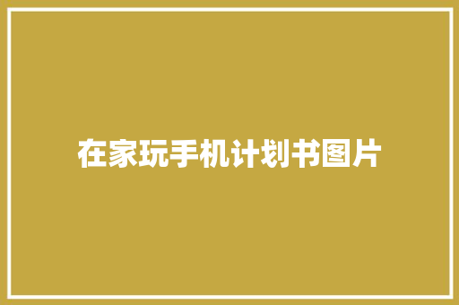 在家玩手机计划书图片