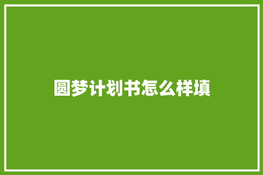 圆梦计划书怎么样填