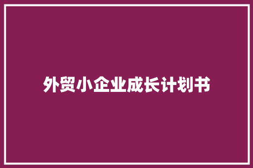 外贸小企业成长计划书