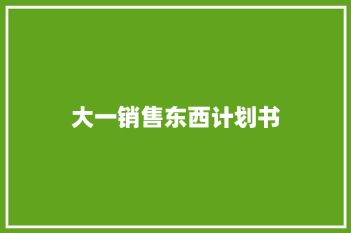 大一销售东西计划书