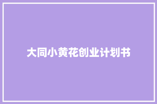 大同小黄花创业计划书