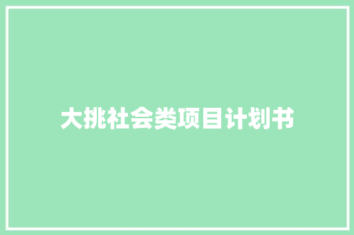 大挑社会类项目计划书