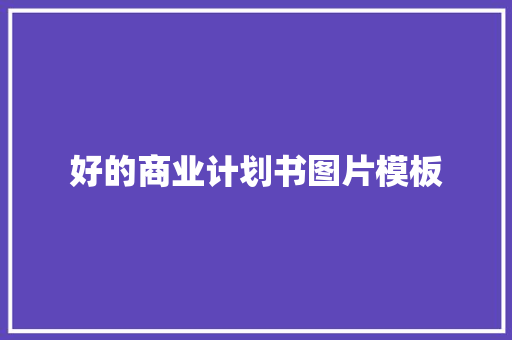 好的商业计划书图片模板