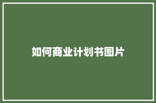 如何商业计划书图片